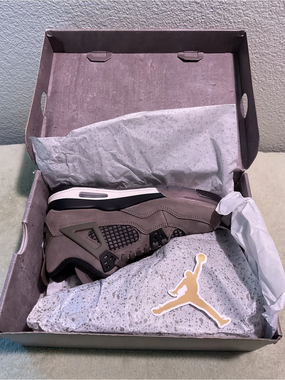 Jordan iconic profile